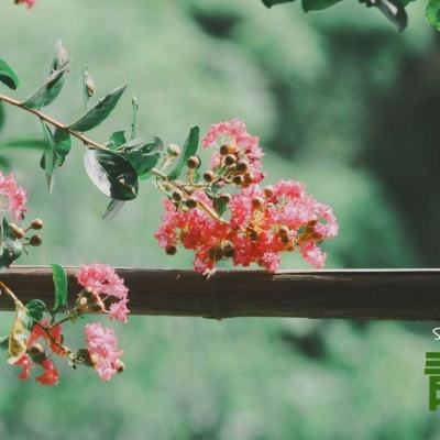 B体育IOS版下载安装