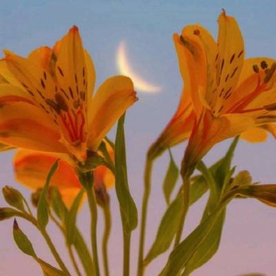 开元im电竞官网